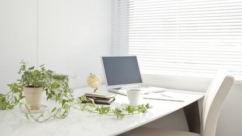 4 quy tắc đặt cây cảnh trên bàn làm việc | Tử Vi Cổ Học