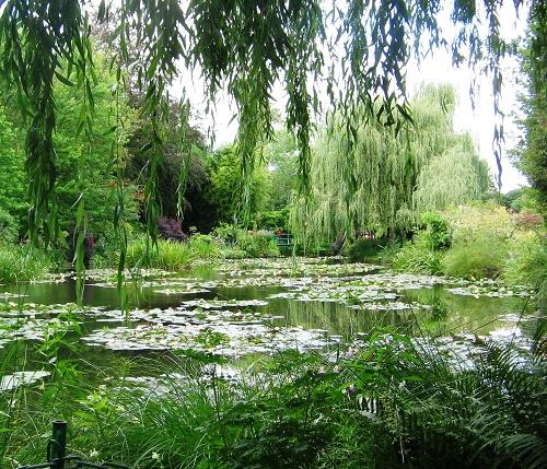 6 loại cây có thích cũng không nên trồng trong vườn nhà | Tử Vi Cổ Học