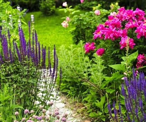 Bật mí bí quyết phong thủy đã thất truyền ngàn năm | Tử Vi Cổ Học