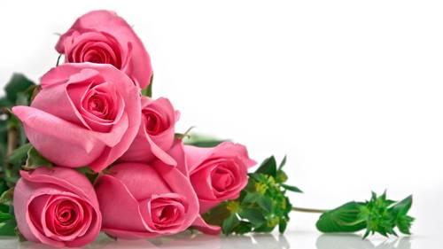 Đặt những vật này trong phòng ngủ đảm bảo sẽ tìm thấy tình yêu đích thực của đời mình | Tử Vi Cổ Học