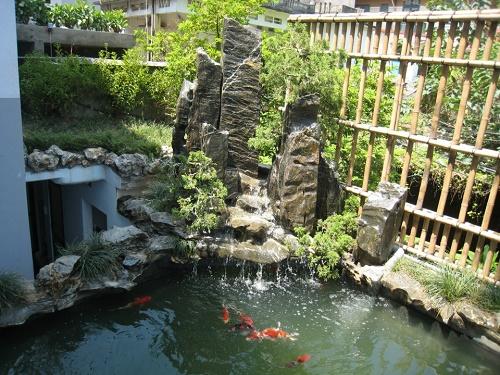 Những thế ao hồ họa nhiều hơn phúc | Tử Vi Cổ Học