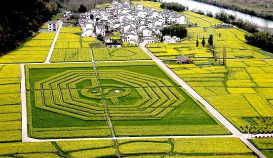 Khi nào mới cần Ứng Dụng Quẻ Dịch | Tử Vi Cổ Học