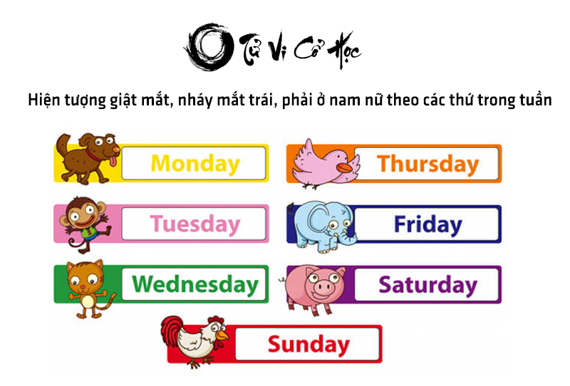 Giải mã hiện tượng giật mắt ở nam và nữ