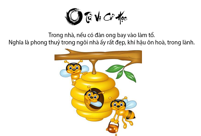 Ong bay vào nhà là điềm tốt hay xấu và ứng với con số nào