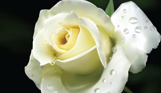 Hãy trân trọng những gì mình có! | Tử Vi Cổ Học