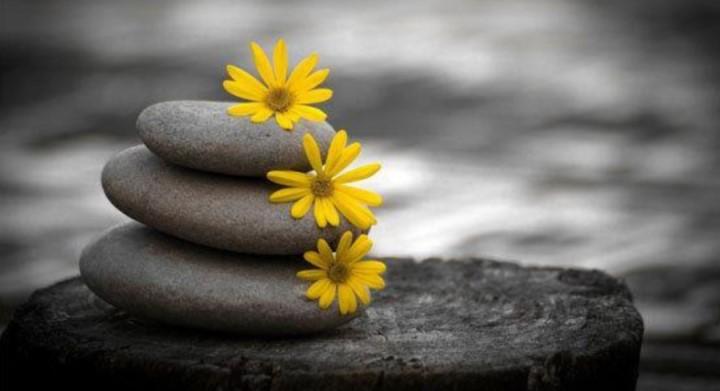 “Thôi kệ. Cuộc đời có bao lâu”. Đời người sinh ra ngắn ngủi, “có bao lăm ba … | Tử Vi Cổ Học