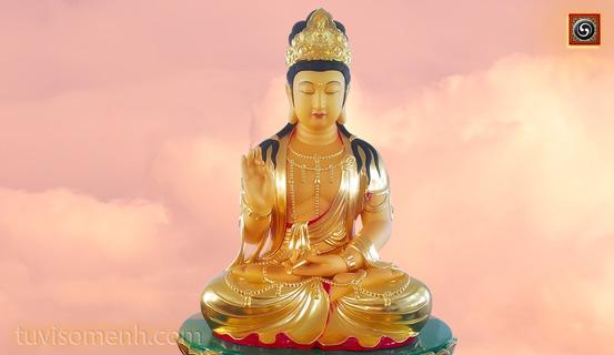 Bảy bí kíp làm ngơ đi mà sống | Tử Vi Cổ Học