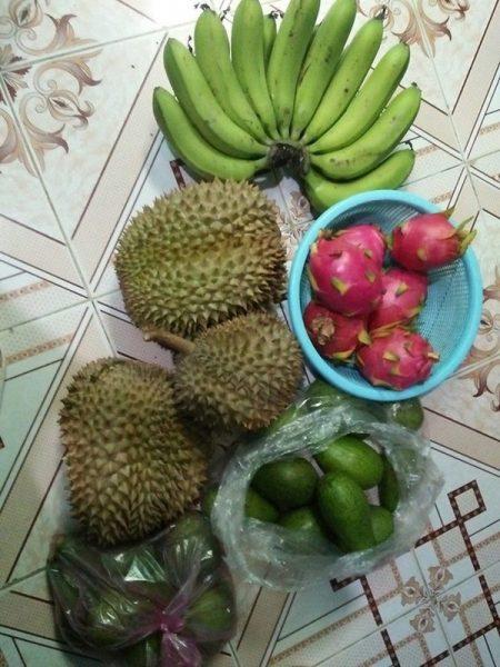 Chỉ ai lấy chồng xa mới hiểu: Thương con gái , bố mẹ gói ghém cả khu vườn gửi cho | Tử Vi Cổ Học