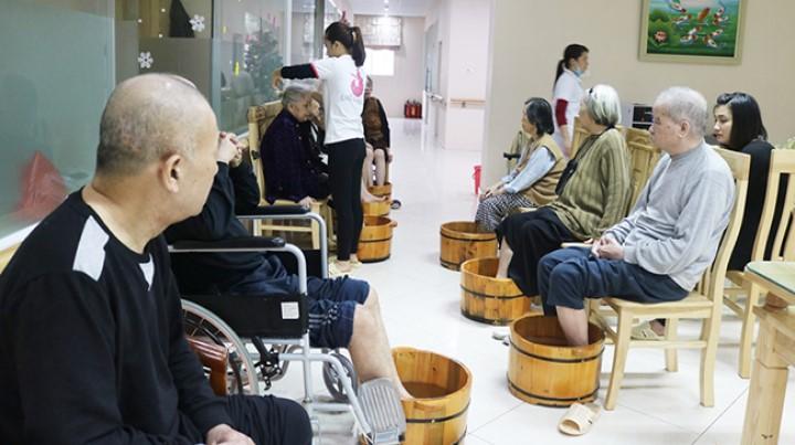 Cha mẹ Việt nên quen dần việc nuôi con không phải để ‘phòng lúc về già’ | Tử Vi Cổ Học