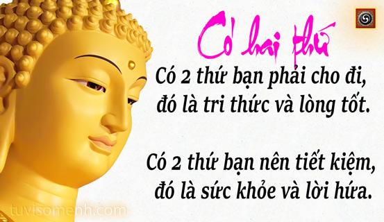 Những câu nói hay đầy ý nghĩa | Tử Vi Cổ Học