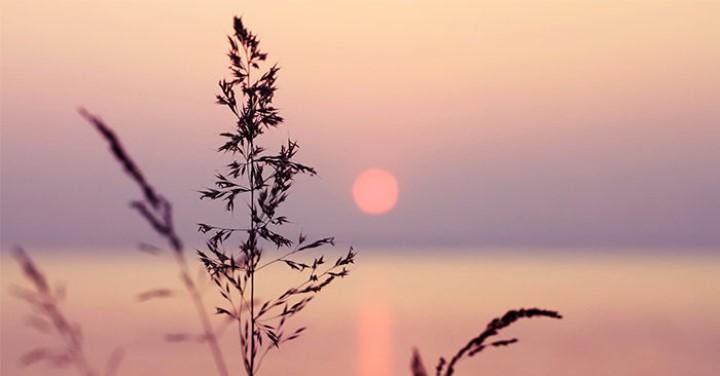 Đời người ngắn ngủi, thử hỏi có gì đáng để ta tranh giành? | Tử Vi Cổ Học