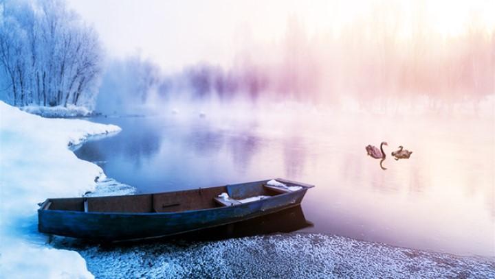 Đường xa mới biết ngựa hay, ở lâu mới hiểu thẳng ngay lòng người | Tử Vi Cổ Học