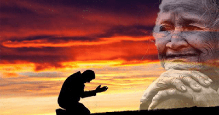 Trên cuộc đời này, không có tấm ân tình nào dành cho bạn lớn hơn tấm ân tình của bố mẹ đâu | Tử Vi Cổ Học