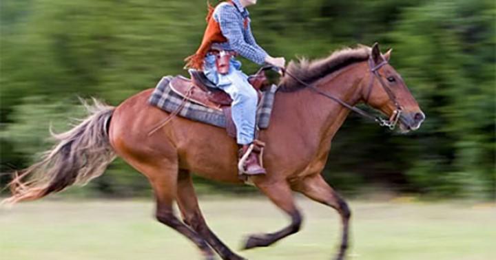 Sống ở đời, nên nhớ: “Con ngựa tốt sẽ bị người khác cưỡi, người tốt sẽ bị người khác phụ” | Tử Vi Cổ Học