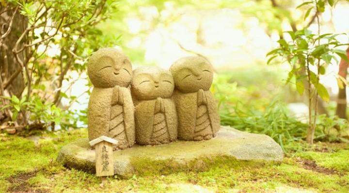 Người có hai đặc điểm này, nhân sinh sẽ ngày càng thuận lợi | Tử Vi Cổ Học