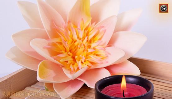 Những câu nói hay trong cuộc sống | Tử Vi Cổ Học