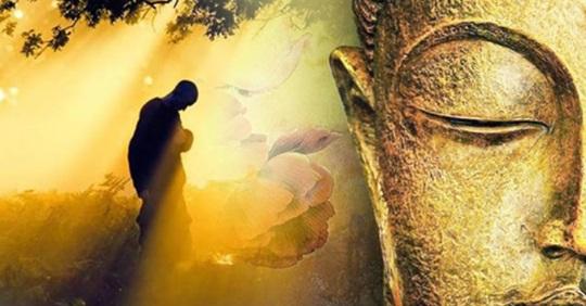 Mỗi người xuất hiện trong cuộc đời bạn đều là duyên phận, đừng ghét bỏ – hãy trân trọng | Tử Vi Cổ Học