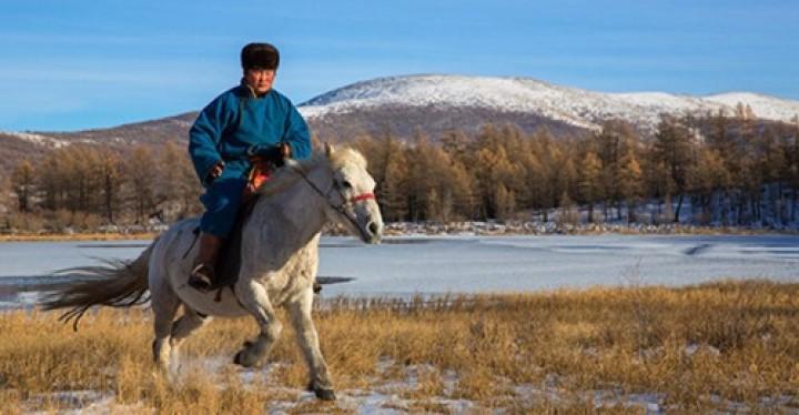 Đường xa mới biết ngựa hay, ở lâu mới hiểu thẳng ngay lòng người | Tử Vi Cổ Học
