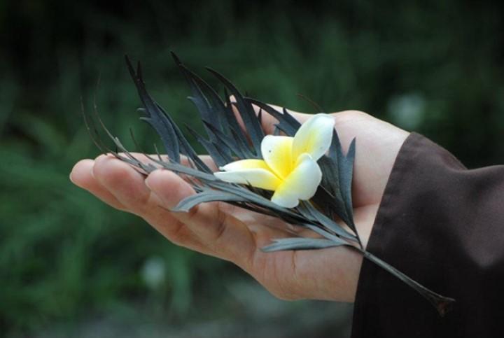 Cái gì của bạn cuối cùng sẽ thuộc về bạn, vậy nên không cần quá cưỡng cầu | Tử Vi Cổ Học