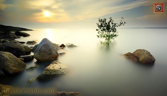 Những câu Thiền ngữ hay | Tử Vi Cổ Học