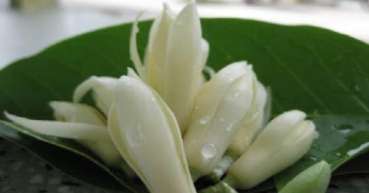 Bài Thuốc Chữa Vô Sinh Nổi Tiếng Mang Lại Hạnh Phúc Cho Rất Nhiều Các Cặp Vợ Chồng | Tử Vi Cổ Học