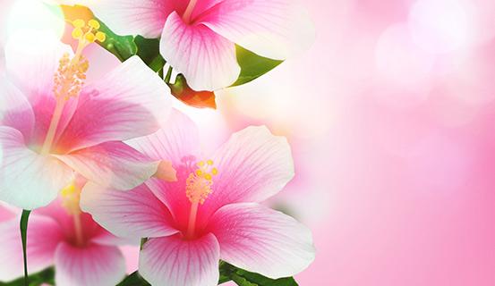 Có đức mặc sức mà ăn | Tử Vi Cổ Học