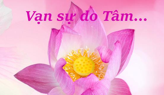 Những câu nói hay về chữ Tâm | Tử Vi Cổ Học