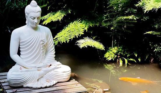 Ở Đời Nên Học Chữ Tùy Duyên | Tử Vi Cổ Học