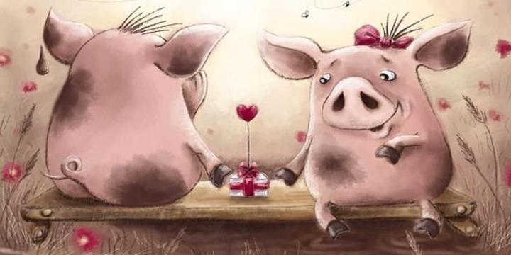 Ai có người quen cầm tinh con heo, chú ý những vấn đề sau nhé! | Tử Vi Cổ Học