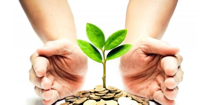 Bật mí 5 con giáp có mệnh giữ tiền | Tử Vi Cổ Học