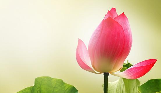 Các bước luận đoán lá số Tử vi (phần 3) | Tử Vi Cổ Học