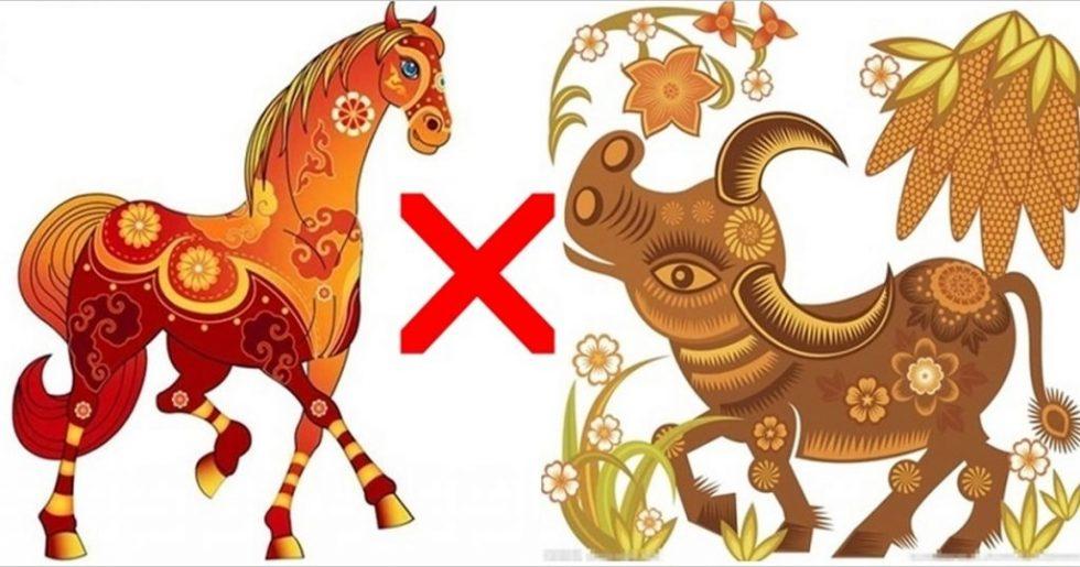 Trong 12 con giáp, những con giáp này thường khắc kỵ nhau, bắt buộc bạn nên biết | Tử Vi Cổ Học