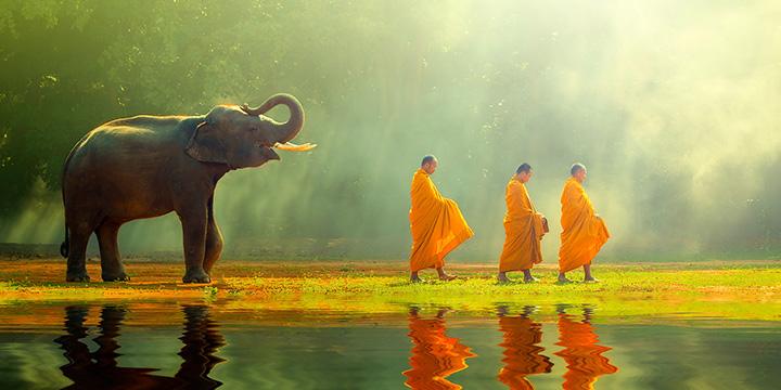 Đi tìm 6 con giáp nam chung thủy, đáng tin cậy nhất trong tình yêu | Tử Vi Cổ Học