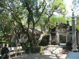 Thực hư về “trùng tang” | Tử Vi Cổ Học