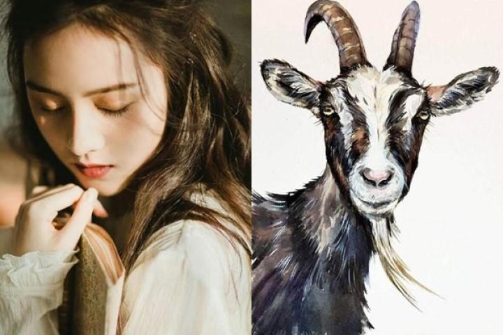 Tuần mới: 3 con giáp này tài vận thăng hoa, vận đào hoa nở rộ | Tử Vi Cổ Học