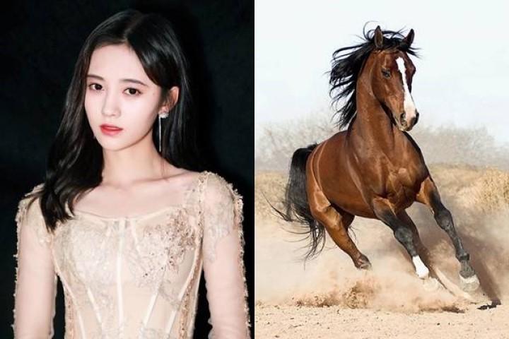 Tử vi tuần tới: 3 con giáp dính hoạ thị phi, luôn bị bạn bè chơi xấu, tình duyên lận đận | Tử Vi Cổ Học