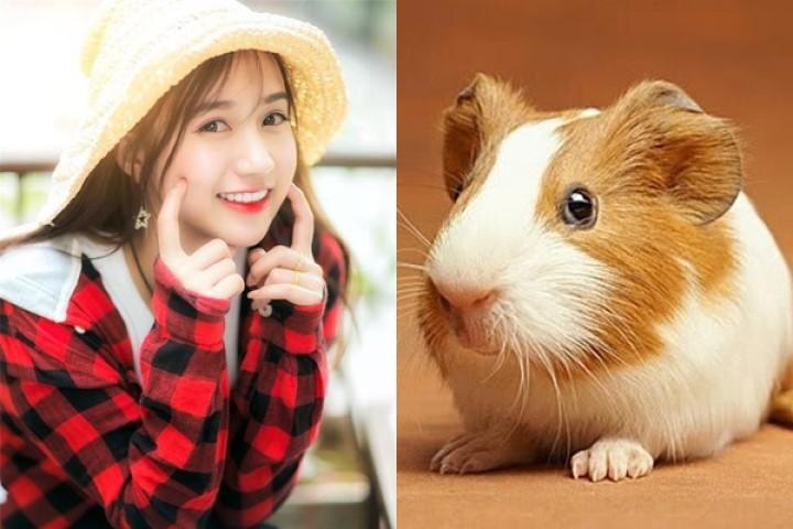 Cuối tháng 9 âm, tiền tài sẽ tự động “gõ cửa” nhà 3 con giáp này, may mắn cũng nối đuôi nhau tìm đến | Tử Vi Cổ Học