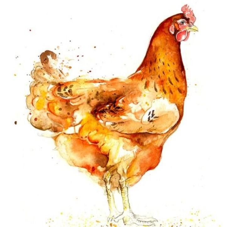 3 con giáp số trời định sẵn sẽ thuận buồm xuôi gió trong nửa tháng tới | Tử Vi Cổ Học