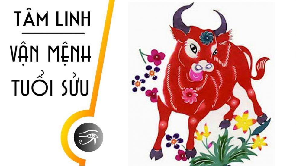 Những con giáp ”không yêu cũng đừng nên làm bạn”, có bạn nằm trong danh sách này không? | Tử Vi Cổ Học