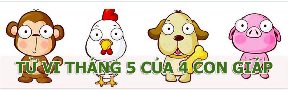 4 con giáp Thân, Dậu, Tuất, Hợi sẽ gặp thuận lợi và khó khăn gì trong tháng 5? | Tử Vi Cổ Học