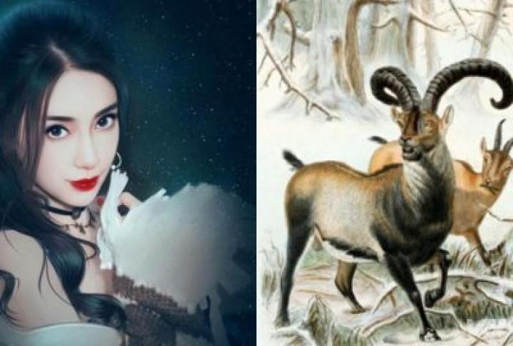 3 nàng giáp có hậu vận giàu sang, càng lớn tuổi cuộc sống càng an nhàn | Tử Vi Cổ Học