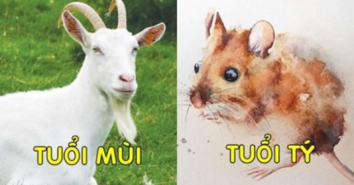 Khổ trước sướng sau: Tý – Sửu – Mùi sau 35 tiền tiêu không hết, ngồi không hưởng phúc, của nả đầy nhà | Tử Vi Cổ Học