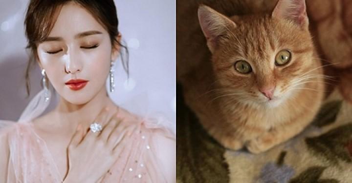 Được Phật “độ”, 3 con giáp mở mắt trái thấy thần Tài, mở mắt phải gặp quý nhân, 49 ngày tới phát tài to | Tử Vi Cổ Học