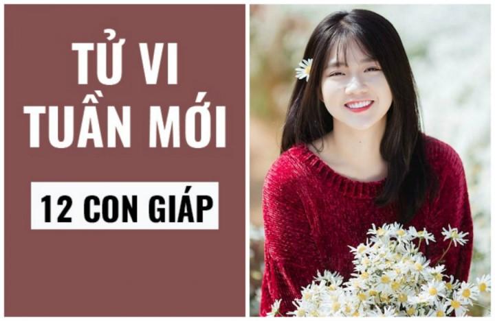 Xem tử vi tuần mới (từ 5/8- 11/8/2019) của 12 con giáp: Tuổi Tý gặp hung vận lớn, Thìn tài lộc vượng phát | Tử Vi Cổ Học