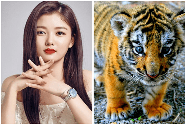 Vận mệnh của người tuổi Dần năm 2018 | Tử Vi Cổ Học