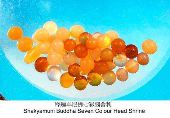 Xá Lợi của đức Phật Thích Ca Mâu Ni | Tử Vi Cổ Học