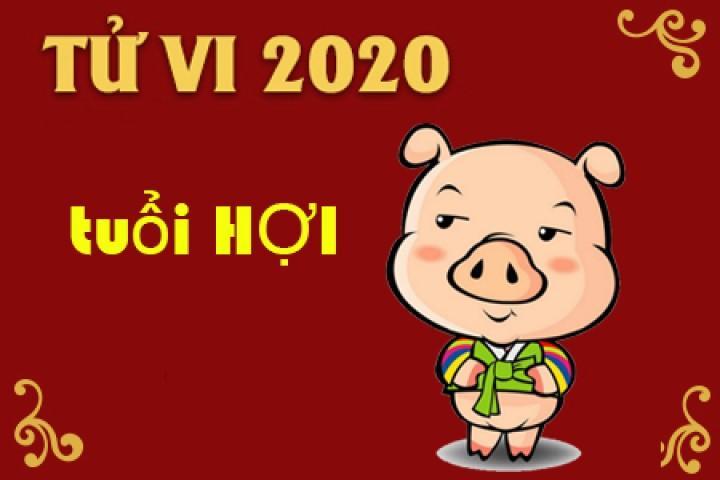 Tử vi tuổi Hợi năm 2020: Cạnh tranh gay gắt, phải biết giữ mình | Tử Vi Cổ Học