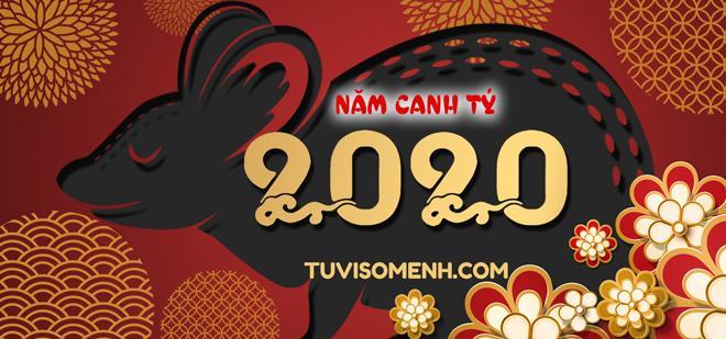 Tử vi 2020 luận giải chính xác | Tử Vi Cổ Học