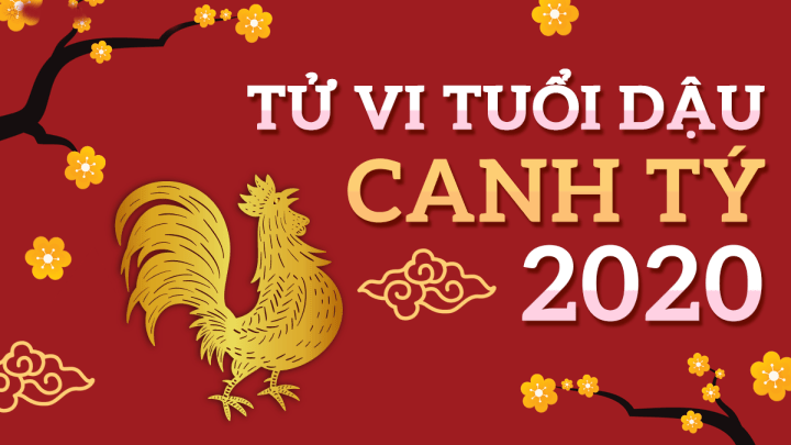 Tử vi 2020 tuổi Đinh Dậu nam mạng | Tử Vi Cổ Học