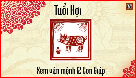 Xem bói tử vi tuổi Hợi | Tử Vi Cổ Học